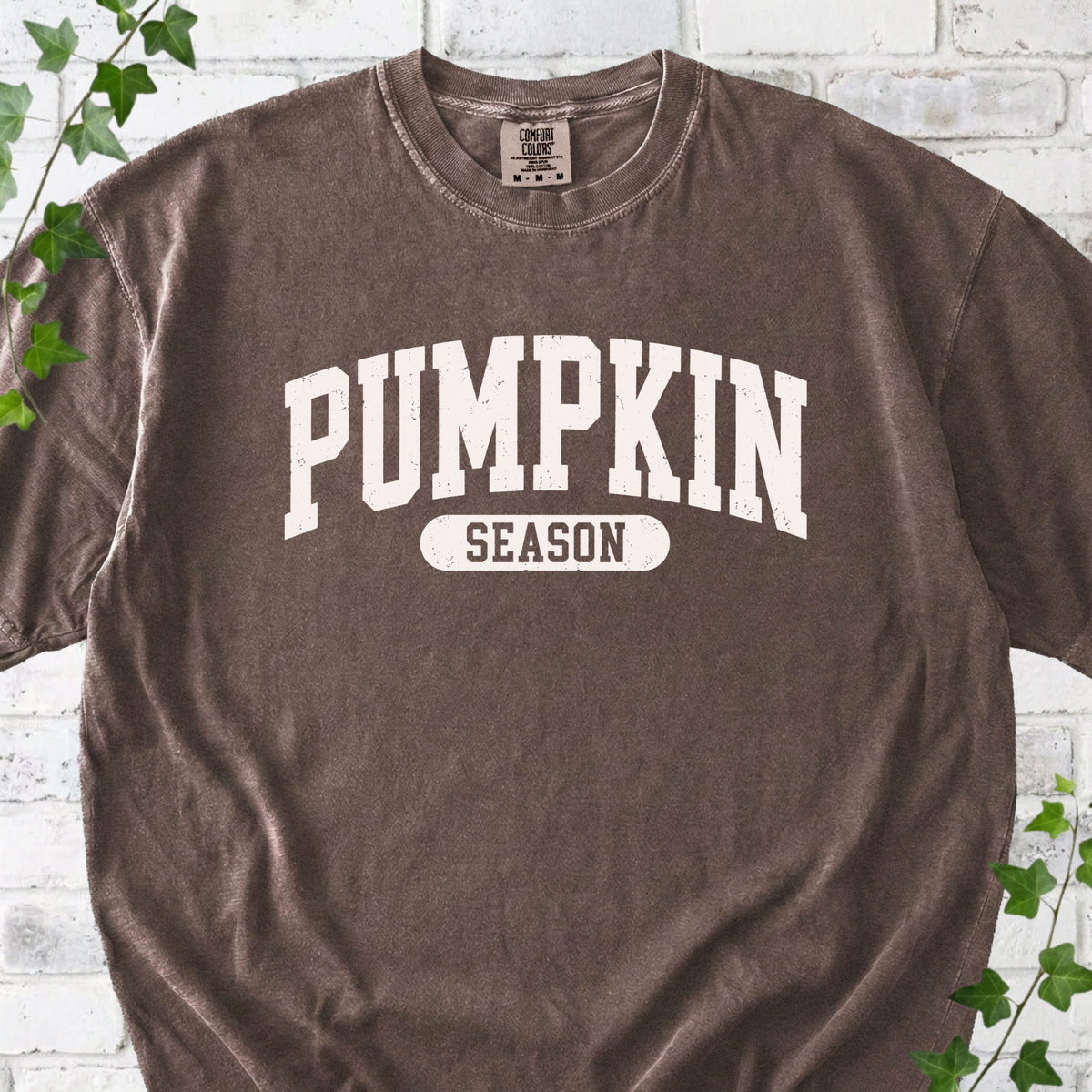 Pumpkin Season T-Shirt