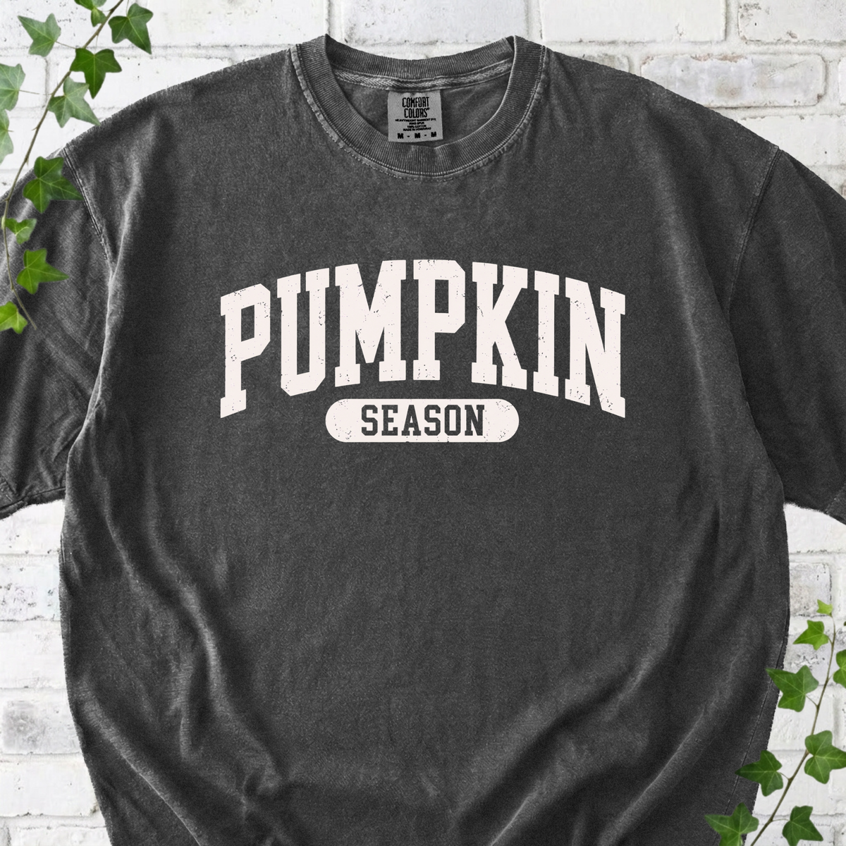 Pumpkin Season T-Shirt