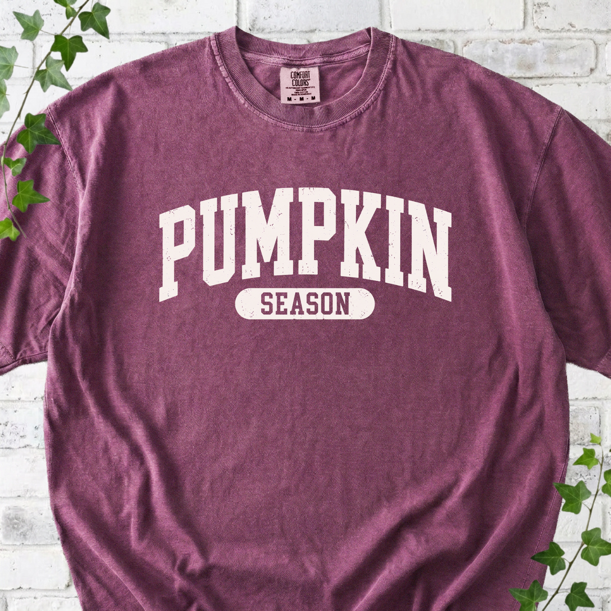 Pumpkin Season T-Shirt